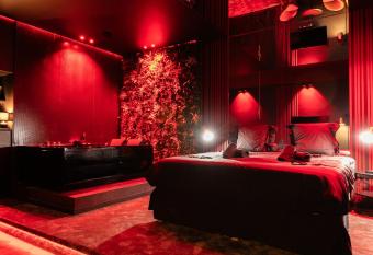   vasion intime : Love Room de luxe    Cannes allows 18 year olds to book a room