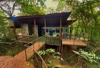 Ficus Wonders Bus has Balcony rooms