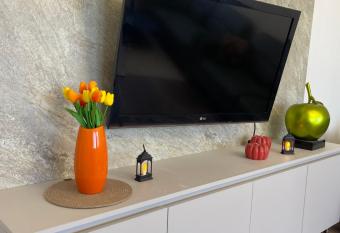 Center apartment has Balcony rooms