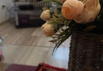 Deea Apartament has Balcony rooms