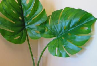 Fall Asleep hotel allows 18 year olds to book a room