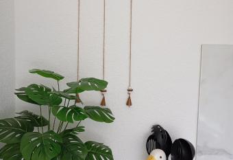 Studio Biokovo allows 18 year olds to book a room