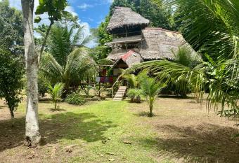Jungle Lodge with lookout tower has Balcony rooms