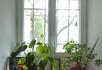 Alexa et compagnie allows 18 year olds to book a room