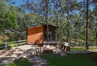 Caba  a Citrus para parejas has rooms with a private hot tub