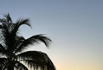 Beautifull Studio in Noord has Balcony rooms