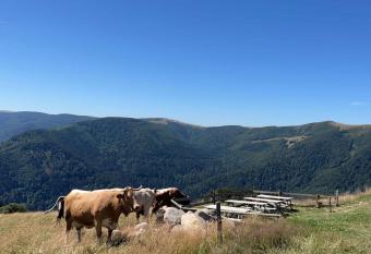 Au petit Meuh ster allows 18 year olds to book a room