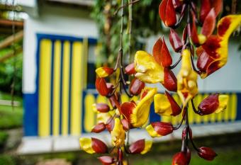 Chalet Villa Alejandra Del Pilar has Balcony rooms