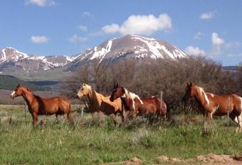 Mount Peale Country Inn allows 18 year olds to book a room