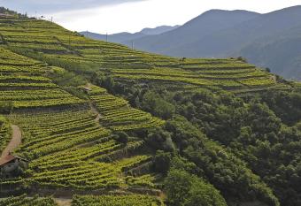 C   Dina - Appartamento in Val di Cembra has Balcony rooms