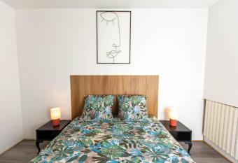 Appartement T3 gare de Chamb  ry centre ville has Balcony rooms