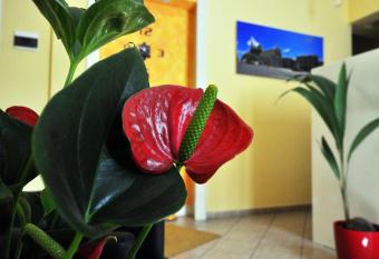 B&B Da R   allows 18 year olds to book a room