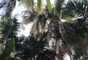 MADHULI COTTAGE has Smoking rooms