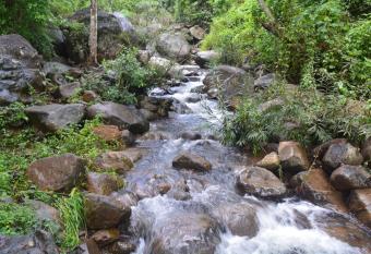 Stream Garden Mountain Resort has Smoking/Balcony rooms