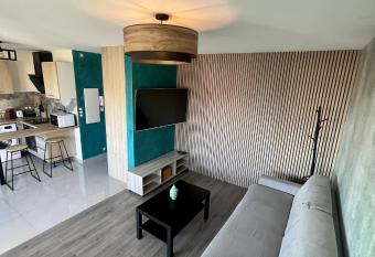 Studio   l  gant avec acc  s    la piscine allows 18 year olds to book a room