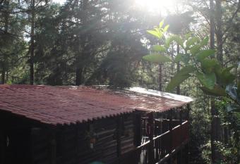 Caba  a entre orqu  deas has Balcony rooms