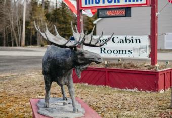 Briarwood Motor Inn has Balcony rooms