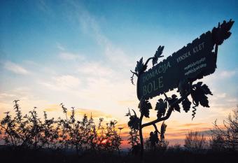 Apartma Doma  ija Bole has Balcony rooms