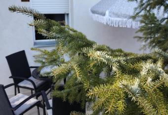 Apartman   umski San has Balcony rooms