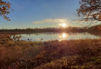 Au coeur de La Dombes has Balcony rooms