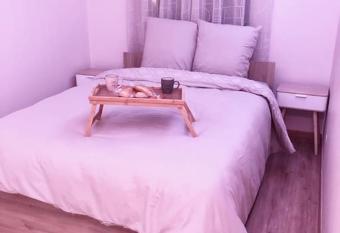 Superbe Appartement tout   quip  , Le nid d Eva    Metz Gare, Parking priv  , Balcon, F2, 50m2, 3p has Balcony rooms