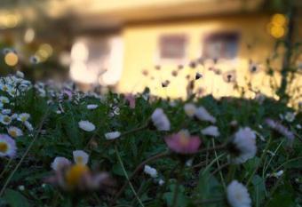 Appartamento Casa Gialla Quartiere tranquillo a Padova vicino al centro e servizi allows 18 year olds to book a room