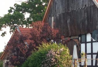 Wohlf  hlwohnung im Gr  nen auf Pferdehof has Balcony rooms