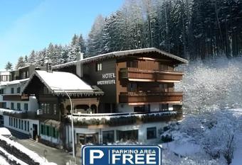 Hotel Batzenh  usl has Balcony rooms