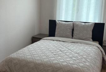 Superbe Appartement tout   quip  , Coins cosy    Metz gare, 50M2, Parking priv  , Balcon, 2p has Balcony rooms