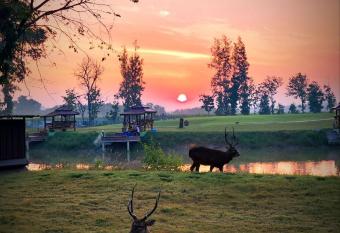 McQuillan s Homestay and Resort has Balcony rooms