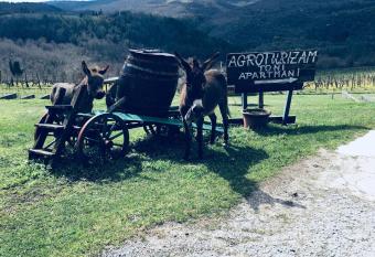 Agroturizam Toni has Balcony rooms