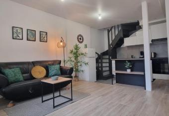 1- appartement duplex 44 m2 allows 18 year olds to book a room