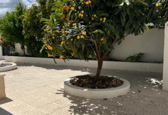 A casa dos Av  s has Balcony rooms