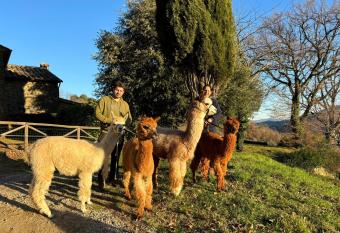 Agriturismo Il Castellare has Balcony rooms