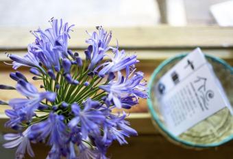 Posada del Arquitecto has Balcony rooms