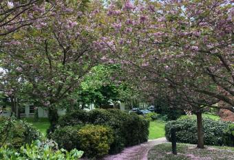 Marlay & Mountain Retreat has Balcony rooms