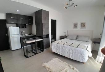 Comodidad y Lujo G&A Rent 205 has Balcony rooms