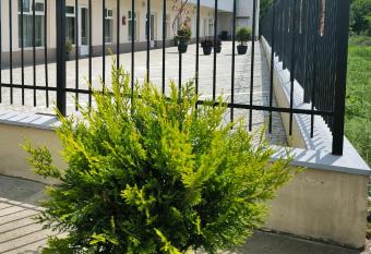 Adriana Touristik Hostel 3 Stele Arad allows 18 year olds to book a room