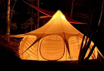 Mimosa Hill Wanderlust Woods has Balcony rooms