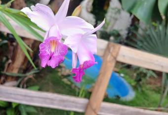Rancho Meu Ambiente has Balcony rooms