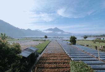 Lake Batur Cabin has Balcony rooms