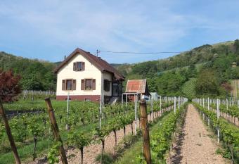 DANDELION Bed & Breakfast allows 18 year olds to book a room