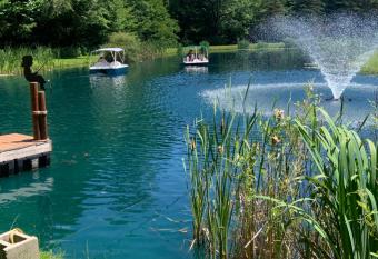 Coxzy Mountainside Getaway has Balcony rooms