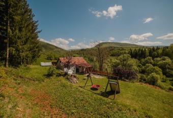 Kuca Lula Stara planina has Balcony rooms