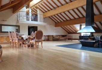 Penthouse in Cologny Switzerland allows 18 year olds to book a room