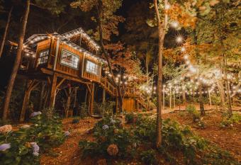 Black Bear Treehouse has Balcony rooms