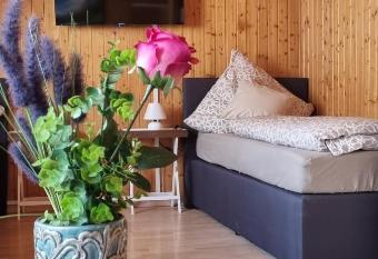 City Apartment Triberg allows 18 year olds to book a room