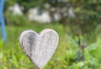 FERIENWOHNUNG ALL YOU NIED mit NIEDBLICK und TERRASSE has Balcony rooms