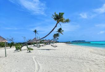 Palm Lagoon has Balcony rooms