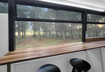 Bussie McBusFace, converted bus in Little River allows 18 year olds to book a room